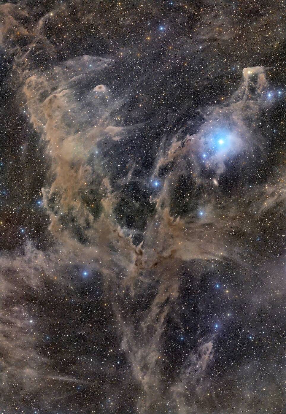 Andy Campbell, “The Rippling Flames – Chamaeleon III.” Winner of the Deep Sky category