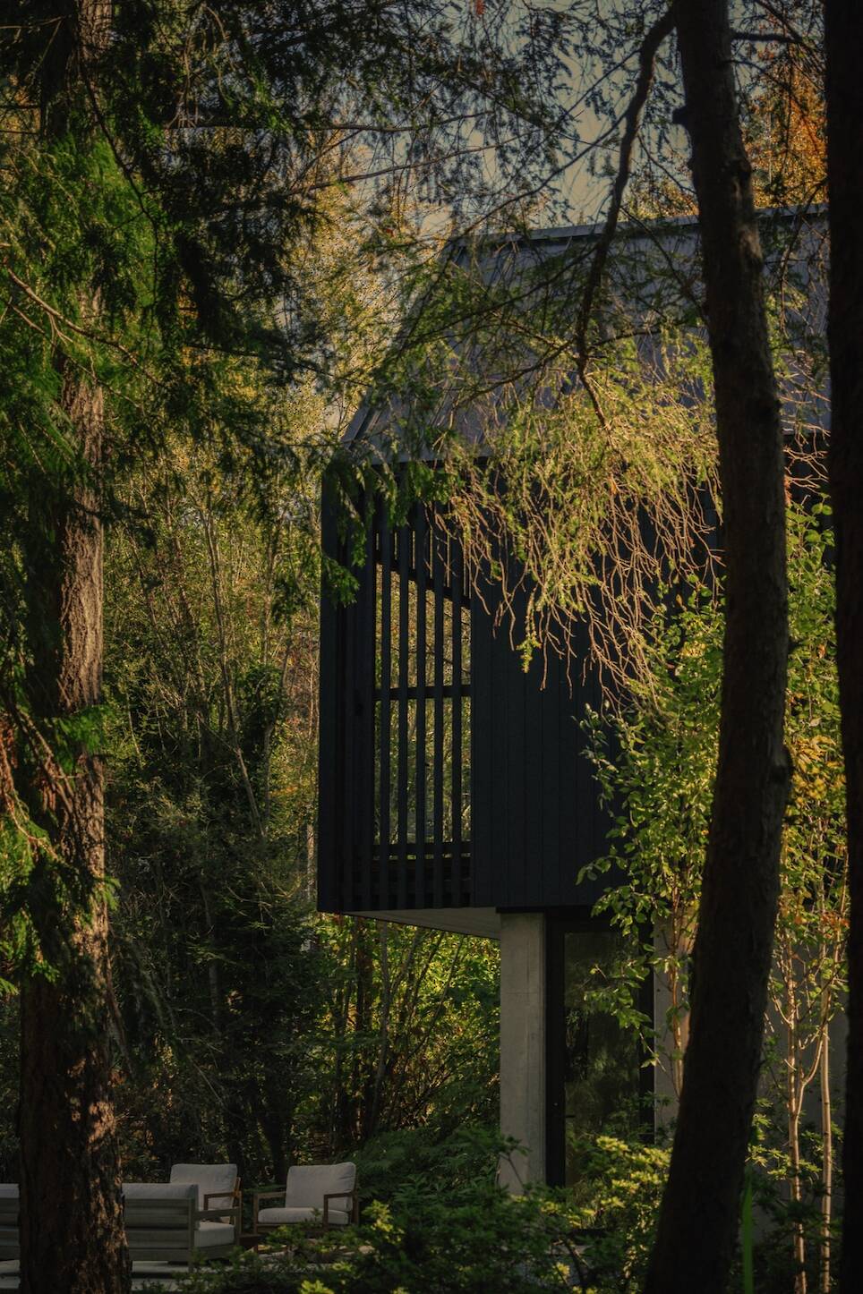 Modern black wooden house partially visible among trees, with a shaded porch and outdoor seating in a forested area—this Little Giant forest studio blends seamlessly into its