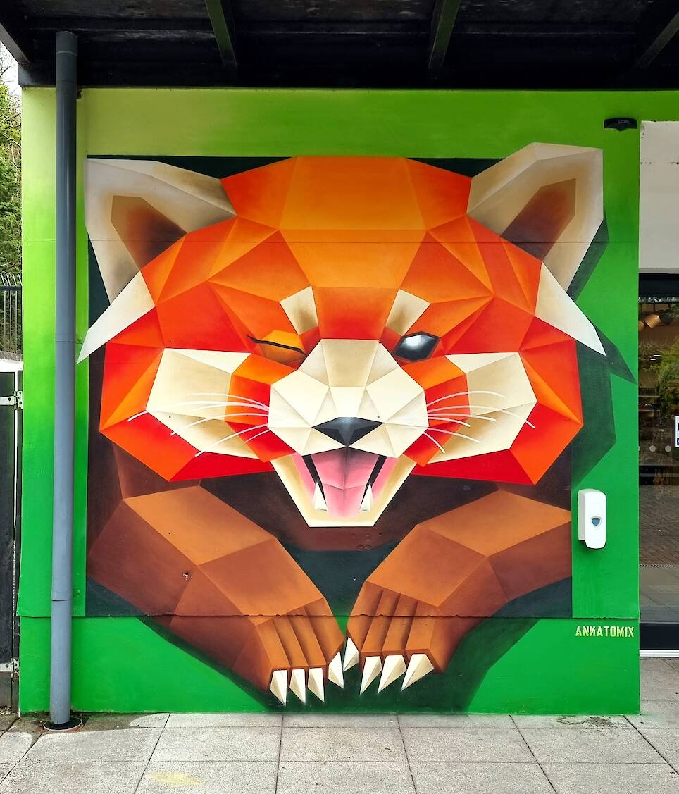 “Red Panda” (2023), Belfast Zoo