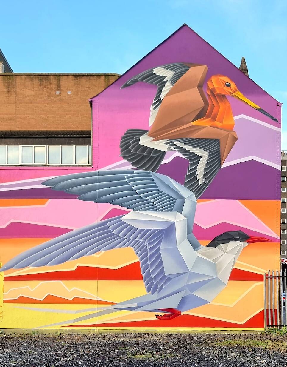 “Flying High – Seabirds” (2024), Belfast