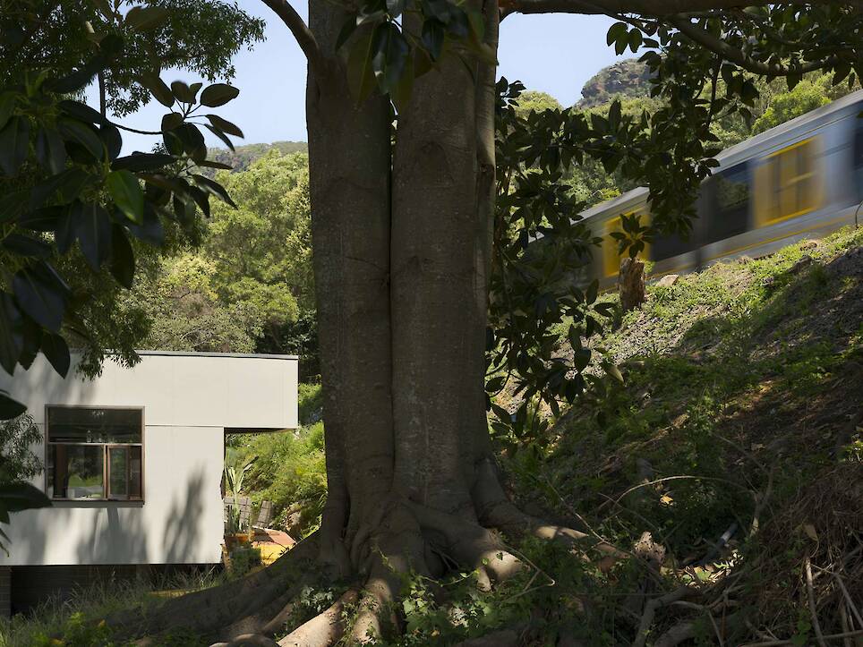 Who Needs an Ocean View? Not This Introverted Australian Home - Photo 4 of 20 -