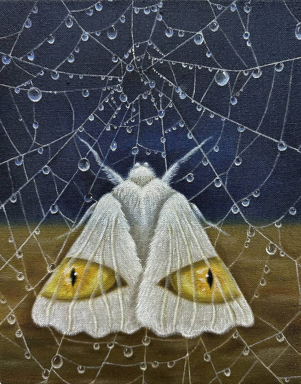 “The Shining Net” (2026), oil on linen, 25.5 x 20.3 centimeters