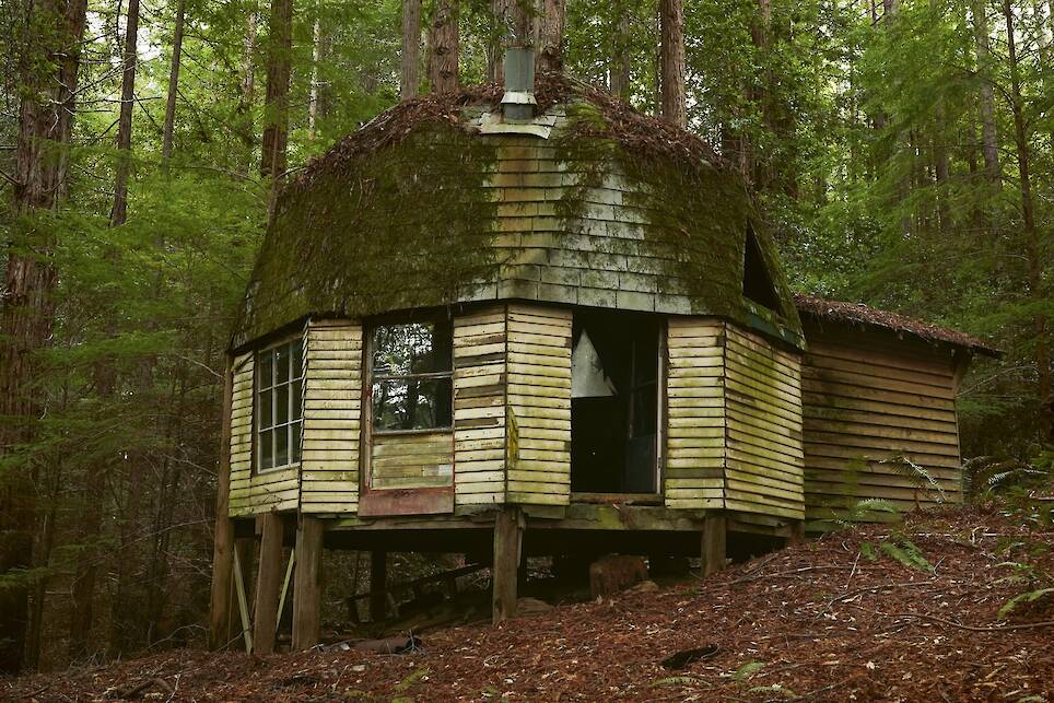 a photography of an octagonal, hand-built home with a dome roof in the woods of Northern California