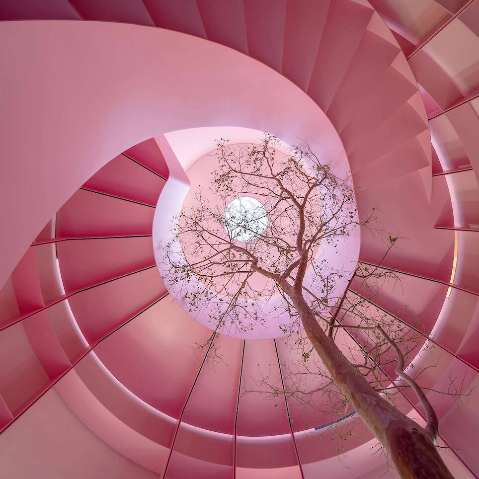 A Pink Stair With an Atrium and Bookshelves Revives This 1930s Mexico City Home - Photo 4 of 15 -