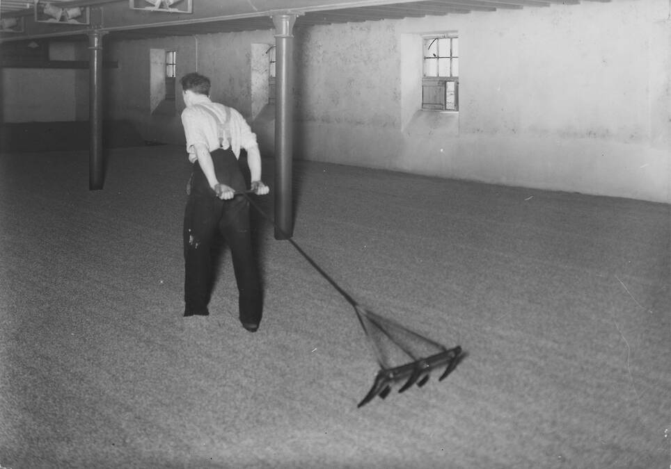 <p>Ploughing the malt at The Balvenie</p>