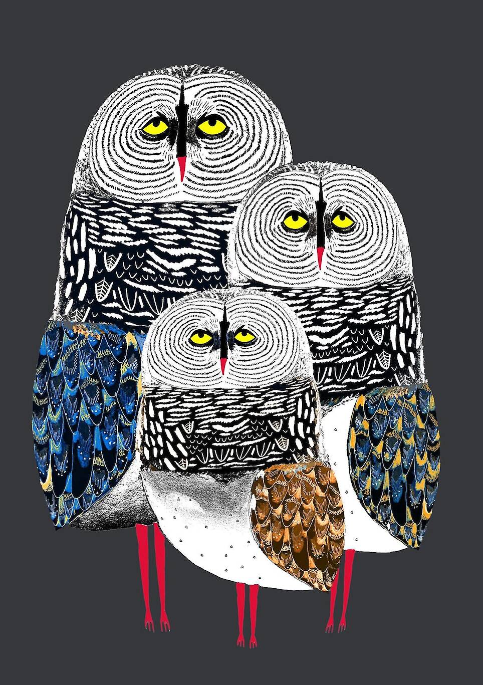 an illustration by ashley percival of three owls made of colorful patterns