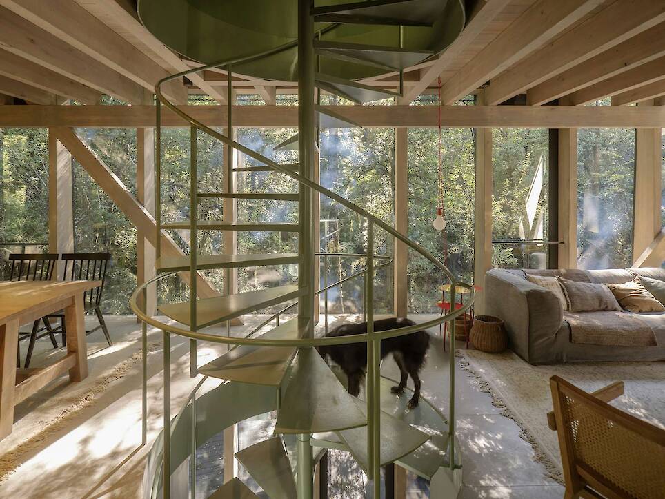 Almost Every Wall Is Glass at This Prefab Cabin in a Chilean Rainforest - Photo 5 of 17 -