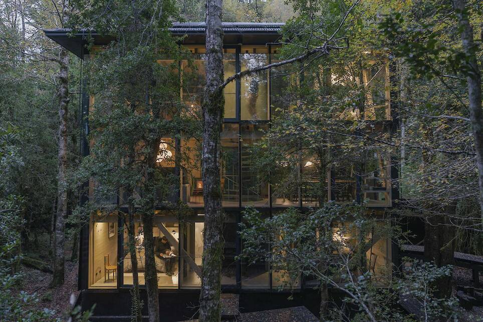 Almost Every Wall Is Glass at This Prefab Cabin in a Chilean Rainforest - Photo 2 of 17 -