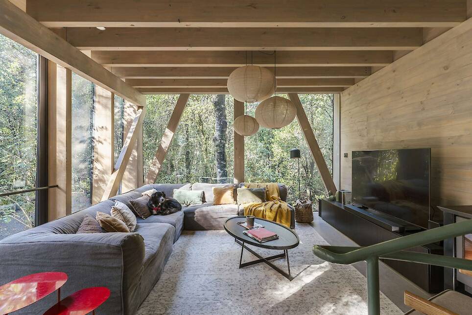 Almost Every Wall Is Glass at This Prefab Cabin in a Chilean Rainforest - Photo 7 of 17 -