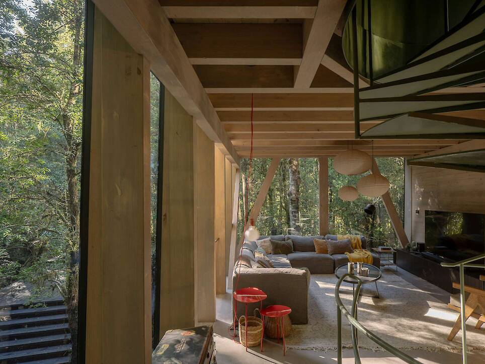 Almost Every Wall Is Glass at This Prefab Cabin in a Chilean Rainforest - Photo 6 of 17 -