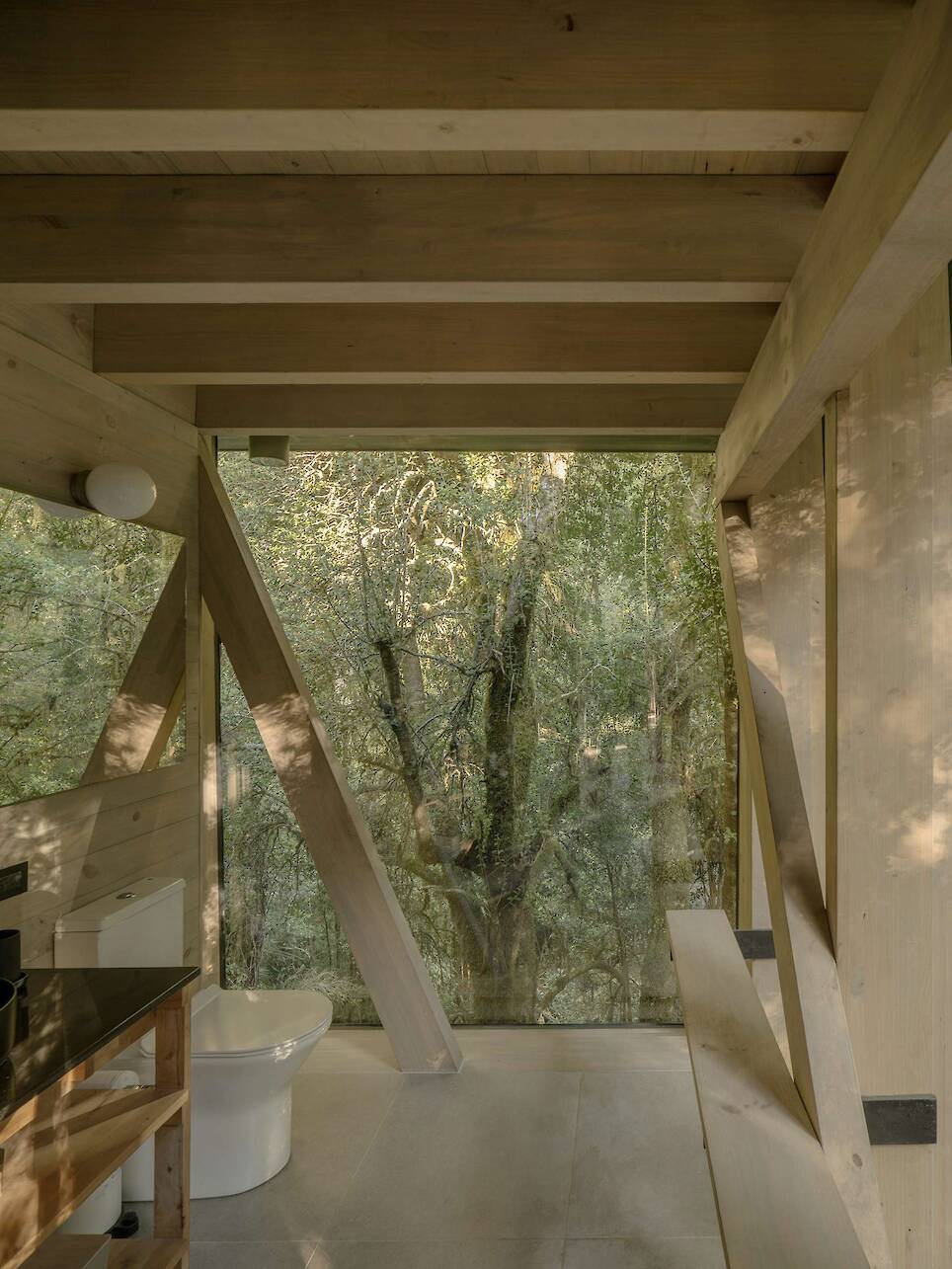Almost Every Wall Is Glass at This Prefab Cabin in a Chilean Rainforest - Photo 15 of 17 -