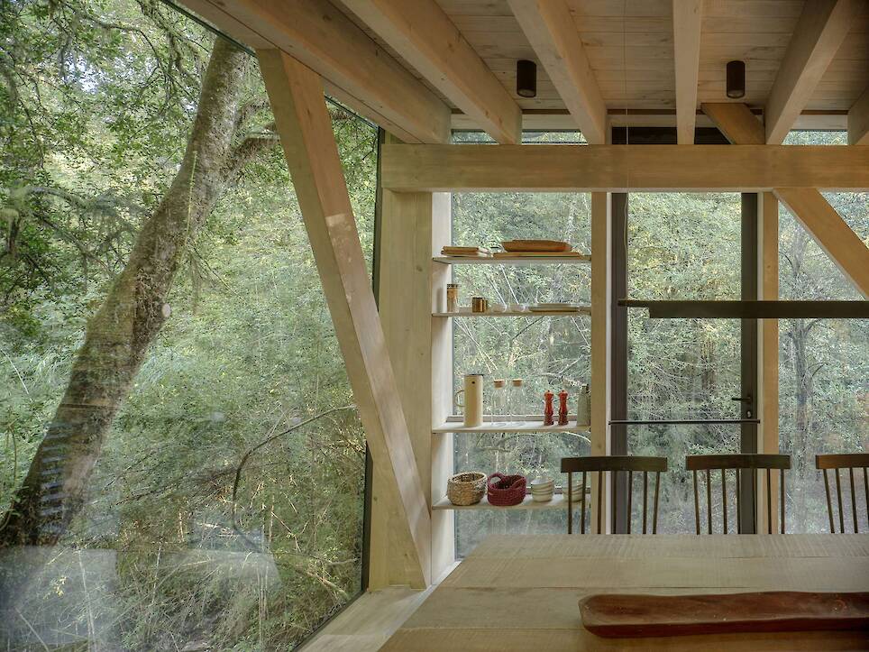 Almost Every Wall Is Glass at This Prefab Cabin in a Chilean Rainforest - Photo 8 of 17 -