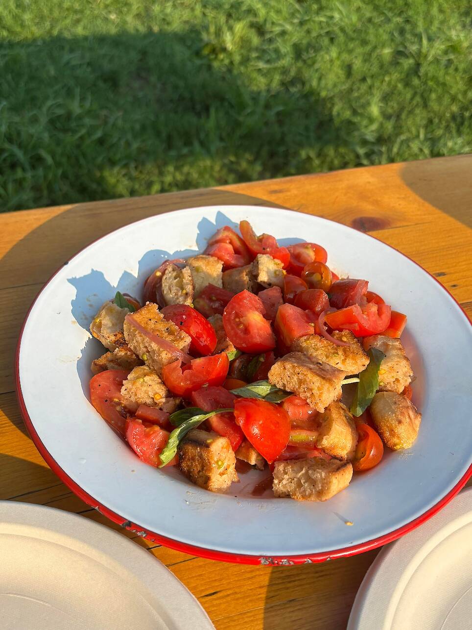 A plate of panzanella with bread, tomatoes, and basil