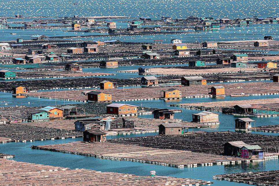 Sun Qingsheng, finalist in the Human Connection category. Thousands of fish-farming cages stretch across the sea, connected by floatng walkways and small wooden huts to form a v
