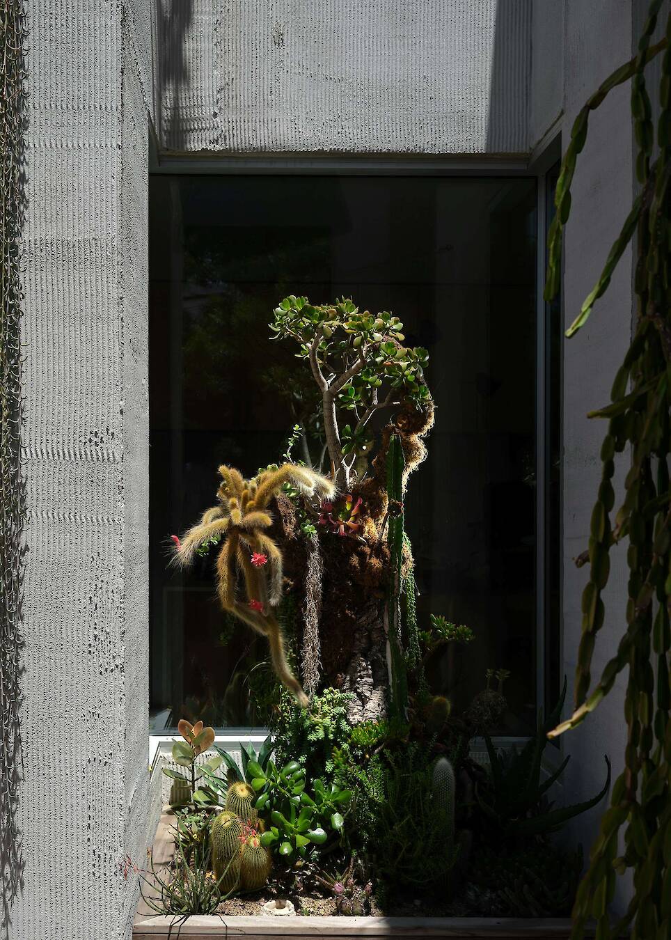 This Monolithic Home in Los Angeles References the City’s First Museum - Photo 6 of 15 -