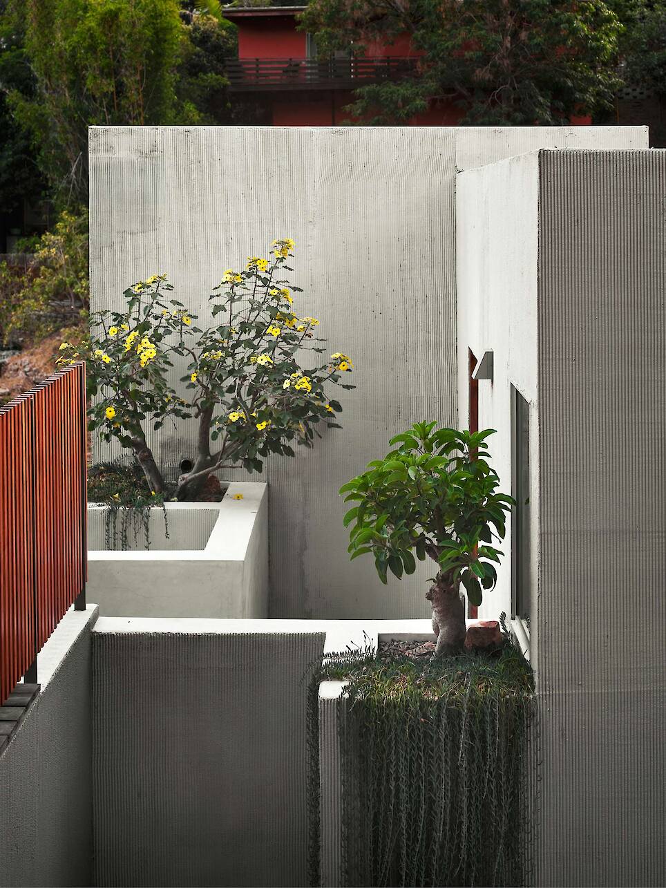 This Monolithic Home in Los Angeles References the City’s First Museum - Photo 9 of 15 -