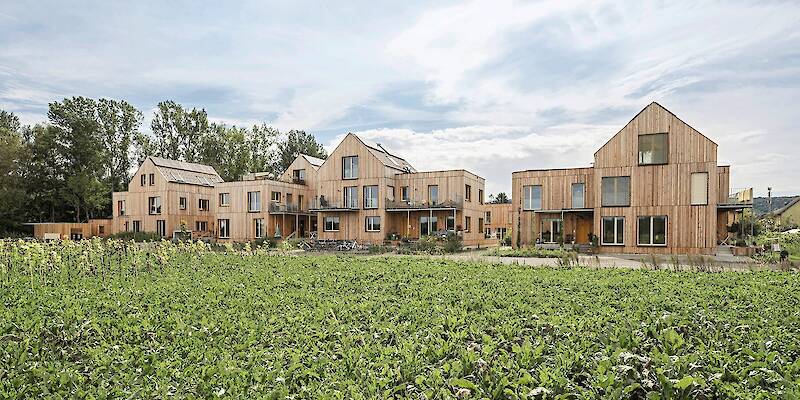 What We Learned: Modes of Habitation
