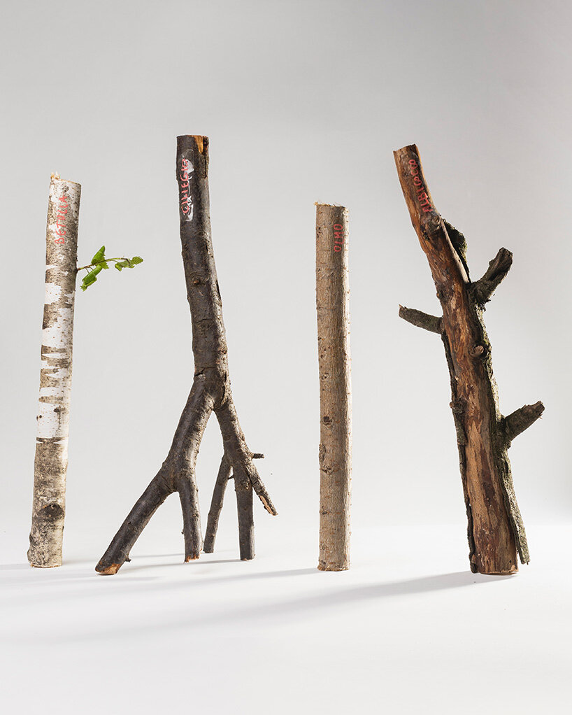 three-axis joint connects raw tree branches without screws for self-building structures - 15