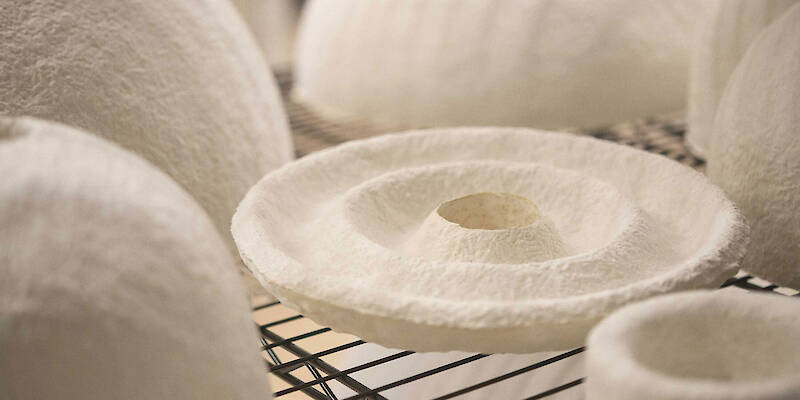 Mushlume Co-Creates with Living Organisms to Grow Design Objects at MADE: Bush Terminal