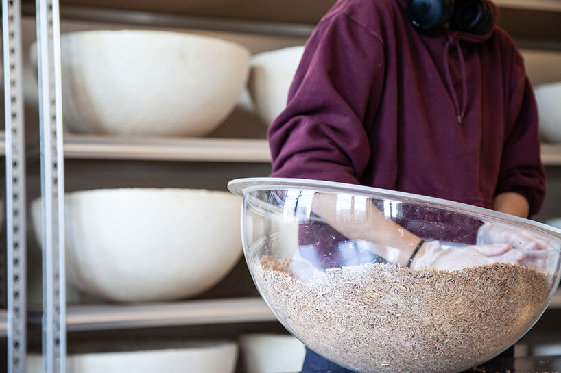 mushlume co-creates with living organisms to grow design objects at MADE: bush terminal - 2