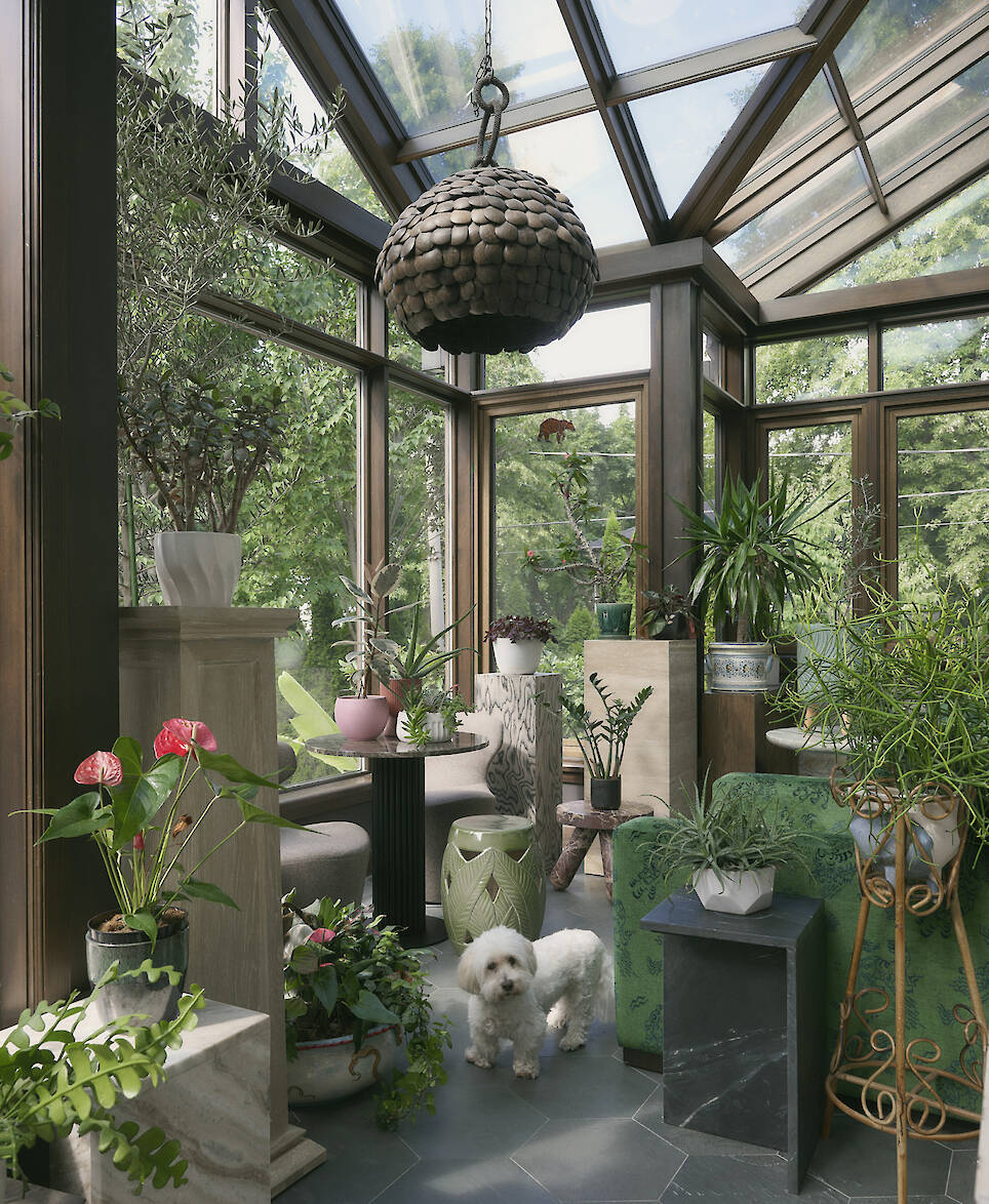 A small white dog stands on a tiled floor in a sunlit conservatory, filled with various potted plants and green foliage—a beautiful result of a recent Toronto home renovation