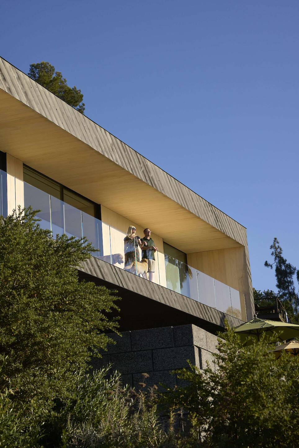 As he was searching for a property where he could build in Silver Lake, Scott Boxenbaum found a triple lot with a view of the Reservoir. "It was literally scrub and trees, and I