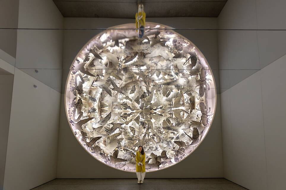 Es Devlin Design Museum exhibition