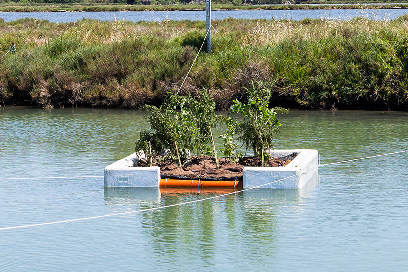 Lilipur – Living Water Infrastructure by Riccardo Zambelli Hosmer, Matteo Bernasconi, Camilla Piantanida and Dafne Argondizza