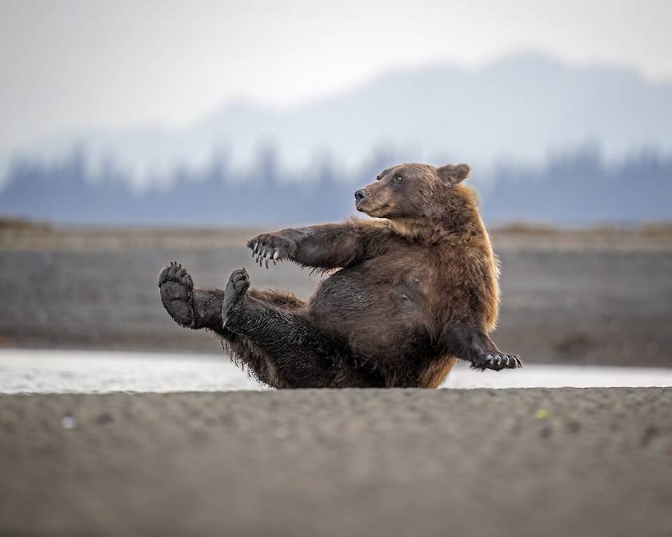 Scott Suriano, “Morning Calisthenics”