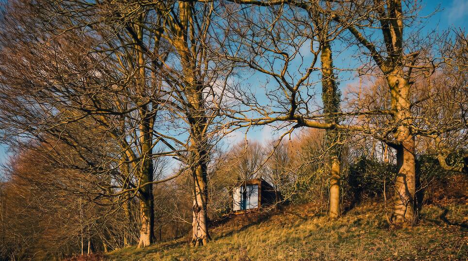 <p>The Haku suite in situ</p>