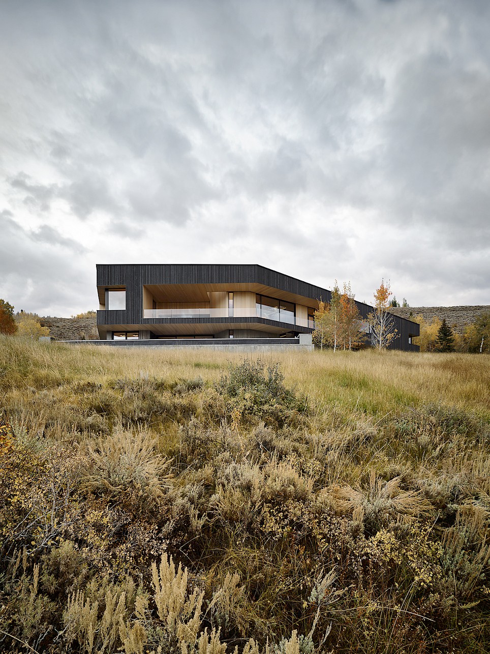 A modern, low-profile house with black siding and recessed balconies set in a field of dry, tall grasses under a cloudy sky